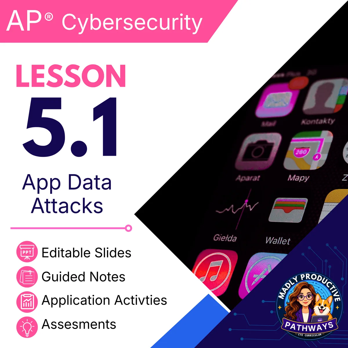 Lesson 5.1: Application and Data Vulnerabilities and Attacks