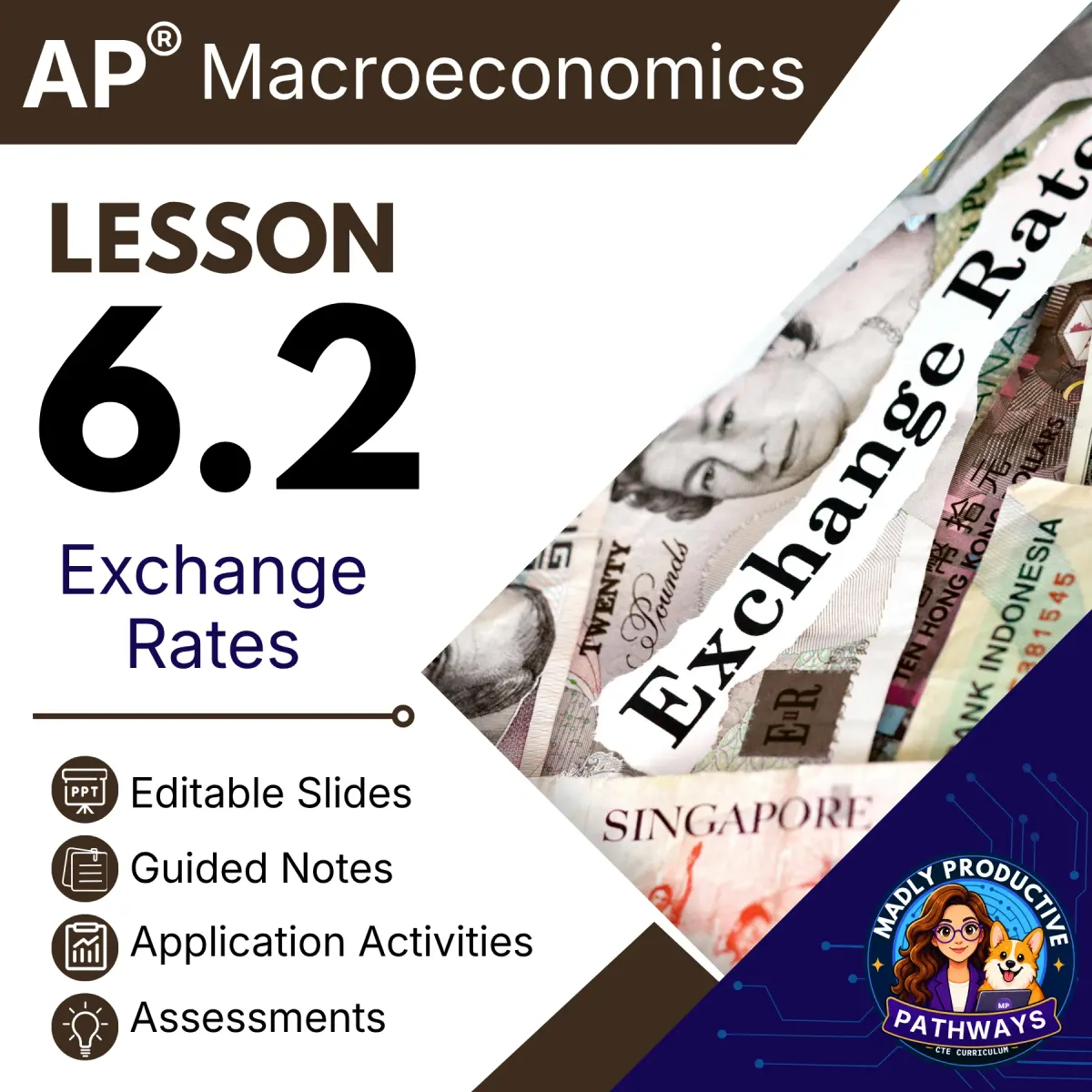 AP Macroeconomics Lesson 6.2 cover, Exchange Rates