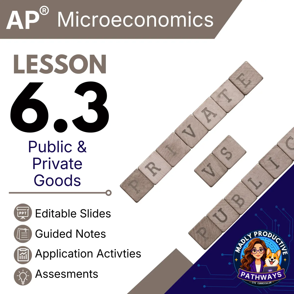 AP Microeconomics Lesson 6.3 cover, Public Private Goods
