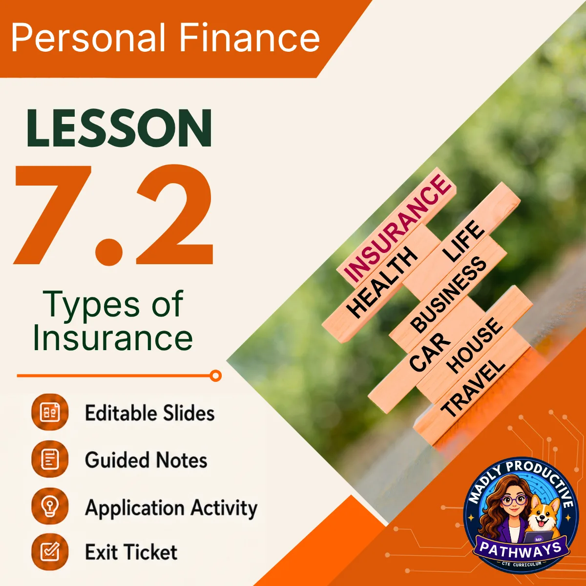 Personal Finance Lesson 7.2 cover, Types of Insurance