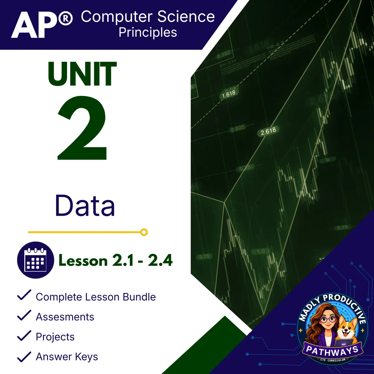 AP Computer Science Principles Unit 2 bundle cover, Data
